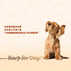 ��������-�ݵ^�g(Harp For Dog) / �g�ȡE�Ǫ��� (Nia Jenkins)